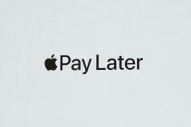 Apple Pay Later